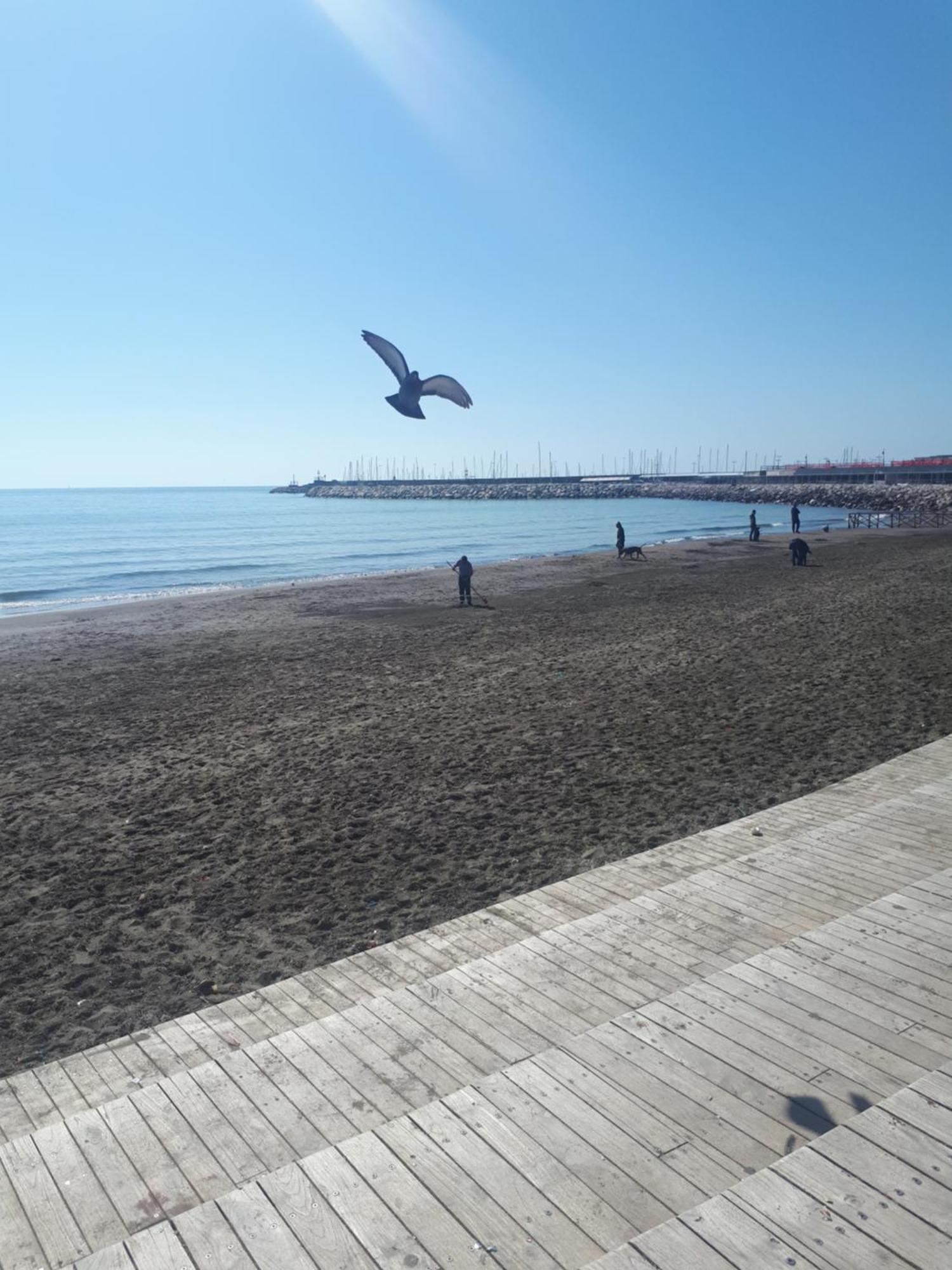 Salerno Centraal Apartment Εξωτερικό φωτογραφία